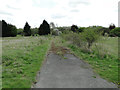 Derelict building  which were once a nursery and glass houses