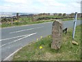 Milestone [from the west], Longwood Common