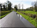 Puddles along Bodoney Road