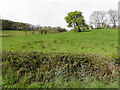 Bodoney Townland