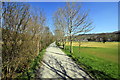 Riverside Walk at Dolgellau