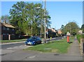 Grass verge - Chapel Lane