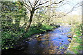 Tributary to the Afon Wnion