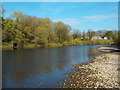 River Eden, Carlisle