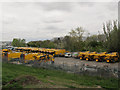 The yellow fleet of Greenwich