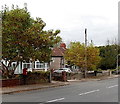 Postbox under a Beech Road tree, Monmouth