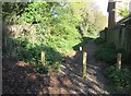 Footpath off Squirrel Lane