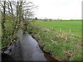 Small river,  Bodoney / Cordromedy