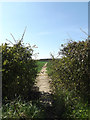 TM2580 : Footpath to the B1116 One Eyed Lane by Geographer