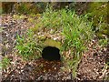 NS3178 : Old well at Ardmore by Lairich Rig