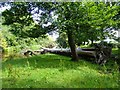 River Carron, Fallen Tree