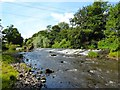 River Carron, Dunipace Weir [2]