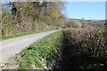 Country road approaching Dolyhir