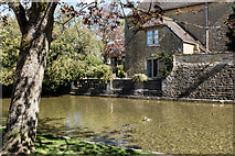 SP1620 : River Windrush, Bourton on the Water by Roger May