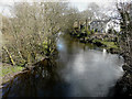 The Afon Teifi from Pont Llanio