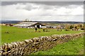 Nether Rodknoll Farm