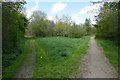 Path junction in Grassmoor Country Park