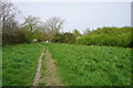 Path on Ely Common