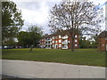 Flats on Haydock Avenue, Northolt