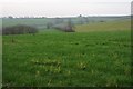 Farmland near Moor Park