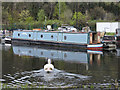 Narrowboat Tamarisk at Bowling basin