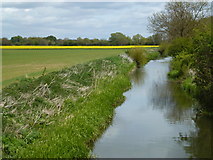 TF0913 : The River Glen near Wilsthorpe, Lincolnshire by Richard Humphrey