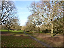 SO9062 : Path from St Peter's Fields to Lido Park by Jeff Gogarty