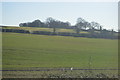 Farmland near Robinson