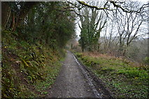 SX5061 : Footpath to West Wood by N Chadwick