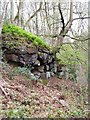 Rock outcrop in East Arnecliff Wood