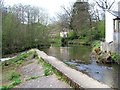 Weir at Egton Bridge