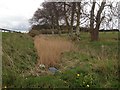 Drainage ditch alongside the A90