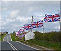 TA1474 : Line of flags along the road by DS Pugh