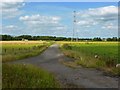 Cuttyfield, old line of road