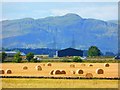 Harvest time scene at Stenhousemuir