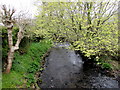 Upstream along the Afon Marlas from Aberlash Road near Ammanford