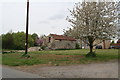 Blossom and a barn "project" by Moor Road, Snitterby