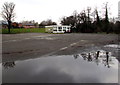 Reflections in a large puddle, Croesyceiliog, Cwmbran