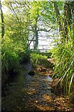 TQ7094 : Stream Near Barrenleys Wood by Glyn Baker