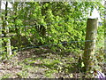 SE0723 : Sowerby Bridge FP079 (N15), Barbed wire across the path by Humphrey Bolton