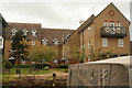 View of the rear of houses on Priory Drive from the Lea towpath