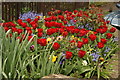 A marvellous display of tulips, pansies, bluebells and roses at the end of Frampton Street from the Lea towpath