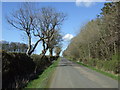 Minor road towards Newton on the Moor