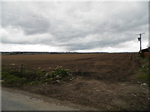 NO0424 : Field at Duntanlich near Pow Bridge by Douglas Nelson