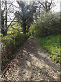 Churchyard path to the B1117 Church Road