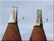 TQ6526 : Cowls of Woodknowle Farm Oast by Oast House Archive