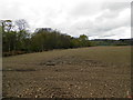 Field in Carse of Gowrie