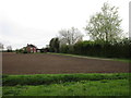 Glebe Farm, Little Hale Fen