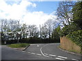 Forest Green at the junction of Ascot Road