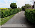 Old Lane, Peterstow